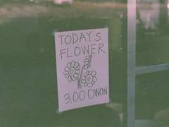 무얼 해야 즐거운지