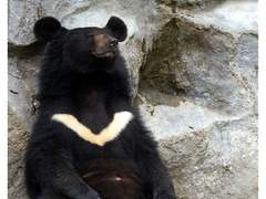 [션견] This is a story about love