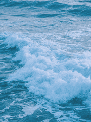 나의 바다, 부유하는 부속품.