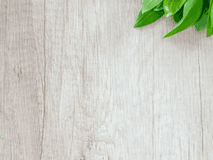 첫 헤어짐의 기억