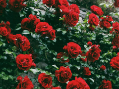 아무아카 타로 리딩 아카이빙 2