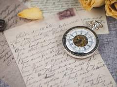 새장 밖의 새장