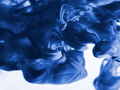 不精, 肯定, 救援.