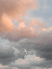 캘리그라피 백업