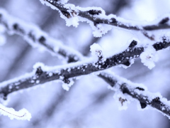 2_4 - 무소식이 희소식(4)