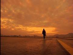 <순류역류> 삽입곡 - 《살수려가殺手驪歌》, 《아적명자我的名字》