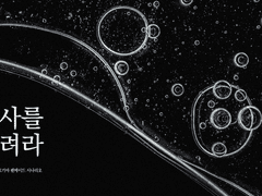 호잇사를 터트려라