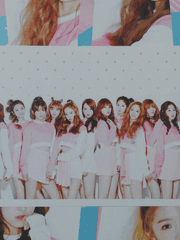 스엠나라 제비꽃밭