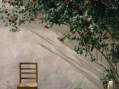 그곳에 갔다/이도은