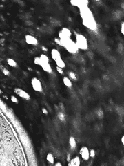 좋아할 리가 없잖아