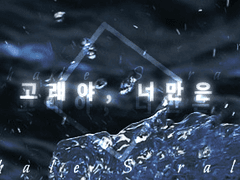 ​W​​​hale Shark raley