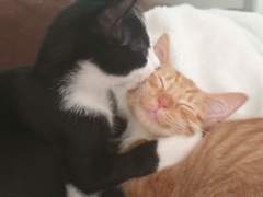 [채꿍] This is a story about love