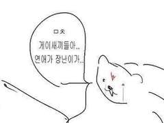 금학환희 - 기본 타로