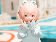 FFXIV 지쉐이드 프리셋 공유