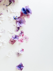 로판 클리셰 비틀기