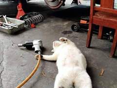 아이돌 사주, 개인사주 문의 관련