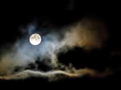 그대는 운이 좋다면 신으로 남을 거랍니다.