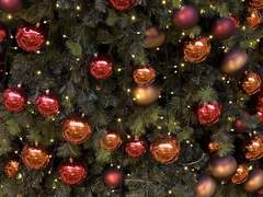 Broom Broom🧹(10.5)