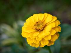 한 아이가 있었습니다.