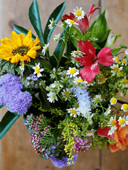 번역/블룸 버스데이(完)