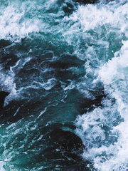 포타 포착, 세상에 이런 포타가!