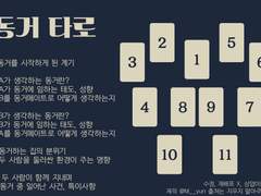 네소드로 동거관 타로 백업