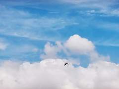 애매한 재능이어도 괜찮아