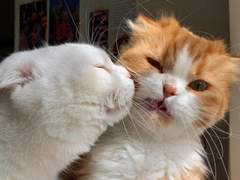 [채꿍] This is a story about love