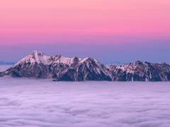 라하이나 눈 - 18