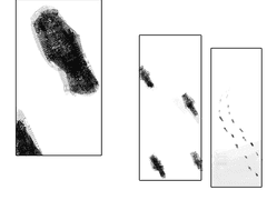안달케이드방랑자