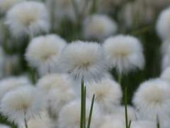 유독 잠이 많은 양