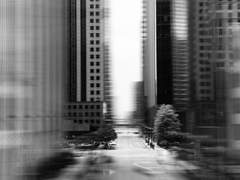 [신시호] 너는 이 세상 어딘가를.