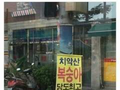 치악산 복숭아 당도최고