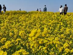 우리는 천천히 아름다워진다
