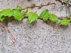 오늘도, 천천히