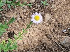 당신의 숲으로 가요