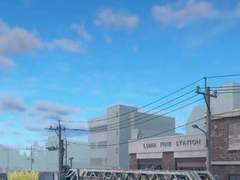 항간의 알칼로이드