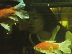 병든 것은 아무도 만지려 하지 않고 죽은 것은 더 이상 병들지 않는다.