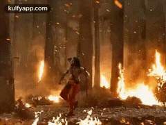 주인공들 신격화 한거 이해함