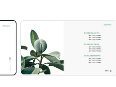 대학 발표 A+ 맞는 법