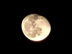 Moonlight☪︎·̩͙