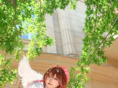 카드캡터 사쿠라(カードキャプターさくら)