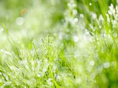 [현수태수]THE VOICE