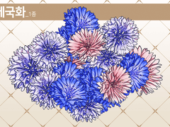 [브러시] 수레국화 브러시