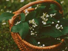 마지막까지 행복을 바랬던 자.