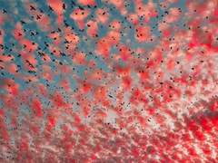 나에게 무슨 일이 생길까?