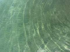 열망과 희망의 부재.