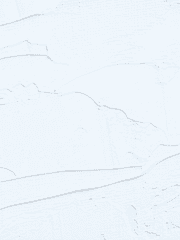 밀랍인형폭렬학원가