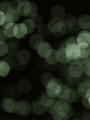 청춘예찬 (靑春禮讚)