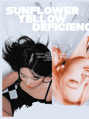 썬플라워 옐로우 디피션시